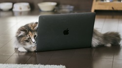 WEBページ内のリンクとURLを抽出